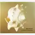 Luca Olivieri La Quarta Dimensione