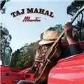 Taj Mahal Maestro