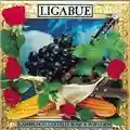 Luciano Ligabue Lambrusco Coltelli Rose & Pop Corn