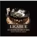 Ligabue Sette notti in arena