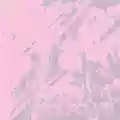 Golfclvb Golfclvb