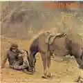 Warhorse Warhorse