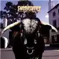 Swervedriver Mezcal Head