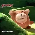 Guster Parachute