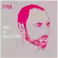 Fink Sort Of Revolution