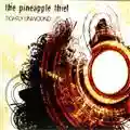 The Pineapple Thief Tightly Unwound