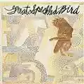 Great Speckled Bird Great Speckled Bird