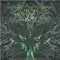 Annotations Of An Autopsy Before The Throne Of Infection
