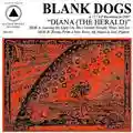 Blank Dogs Diana (The Herald)