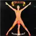 Boxer Below The Belt