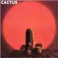 Cactus Cactus