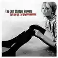 The Last Shadow Puppets The Age of the Understatement