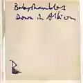 Babyshambles Down In Albion