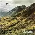 Woods Songs Of Shame