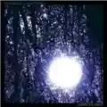 Six Organs Of Admittance Luminous Night