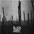 Black Boned Angel Verdun