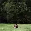 The Cave Singers Invitation Songs