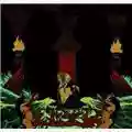 Elder Elder