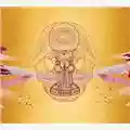 Devendra Banhart What Will We Be