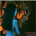 Orphanage Driven