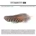 The Appleseed Cast Low Level Owl, Volume 1