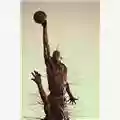 Gazzetta dello sport Michael Jordan: His Airness