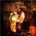 Pain Of Salvation Linoleum
