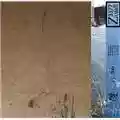 Coincidenza 17. Sui