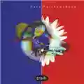 Dave Matthews Band Crash