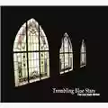 Trembling Blue Stars The Last Holy Writer