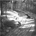 Burzum Hvis Lyset Tar Oss