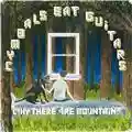 Cymbals Eat Guitars Why There Are Mountains