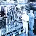 Porcupine Tree Stupid Dream