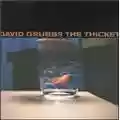 David Grubbs The Thicket