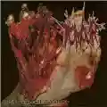 Tumour/Anal Penetration Do-It-Yourself Lobotomy/The Daily Drop - Split