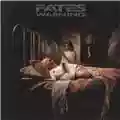 Fates Warning Parallels