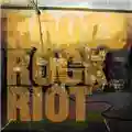 Skindred Roots Rock Riot
