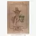 Clint Eastwood Honkytonk Man