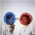 The Dirty Projectors Bitte Orca