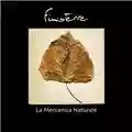 Finisterre La meccanica naturale