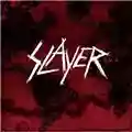 Slayer World Painted Blood