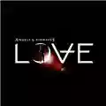 Angels & Airwaves Love