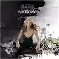 Sheryl Crow Wildflower