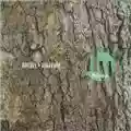 Howden-Wakeford Wormwood