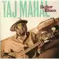 Taj Mahal Señor Blues