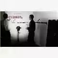Lars Von Trier Epidemic