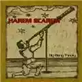 Harem Scarem Big Bang Theory