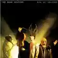 The Dead Weather Sea Of Cowards