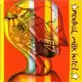 Neutral Milk Hotel Everything Is