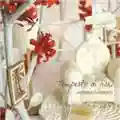 Andrea Chimenti Tempesta Di Fiori